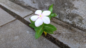 9月11日　今日のひとこま