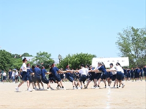 体育祭【棒とり】