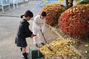 落ち葉掃きボランティア