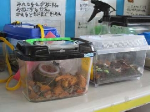 2年2組の新しい仲間