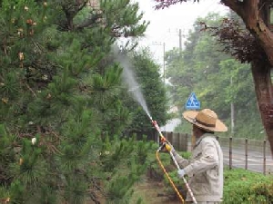樹木消毒