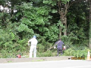 通学路の整備