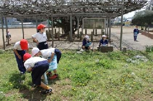 ４月１２日（火）　春の生き物