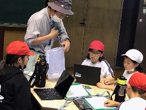 7/5 3年生 自然博物館へ昆虫採集に行ったよ!
