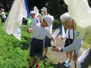 3年生　昆虫博士になろう