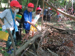 ６年生　緑の少年団調査その１