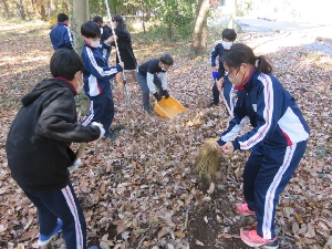 １２月の里山での活動　６年生