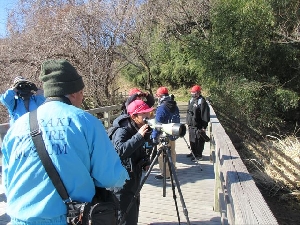 ２月４日　４年生総合　冬の野鳥観察