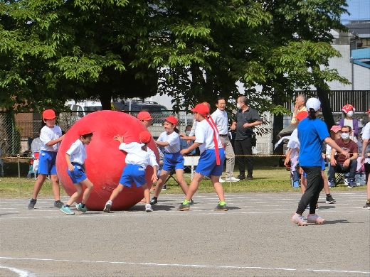 【１年生から６年生までの総力戦です】