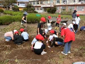 １０月１日（火）１・２年生いもほり