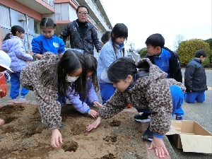 １２月１３日（金）２年生チューリップ球根植え