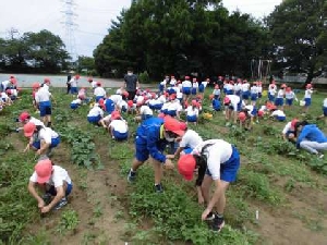 逆小タイム(縦割り班活動)