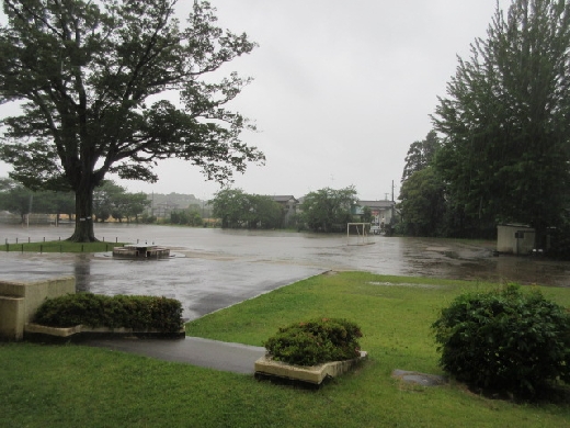 雨の一日