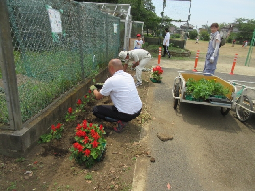 夏の花壇に植え替えです