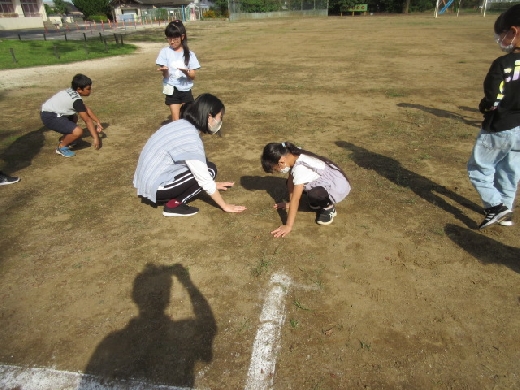 ３年生・ひなたの地面はあたたかい