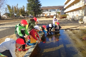 池の氷